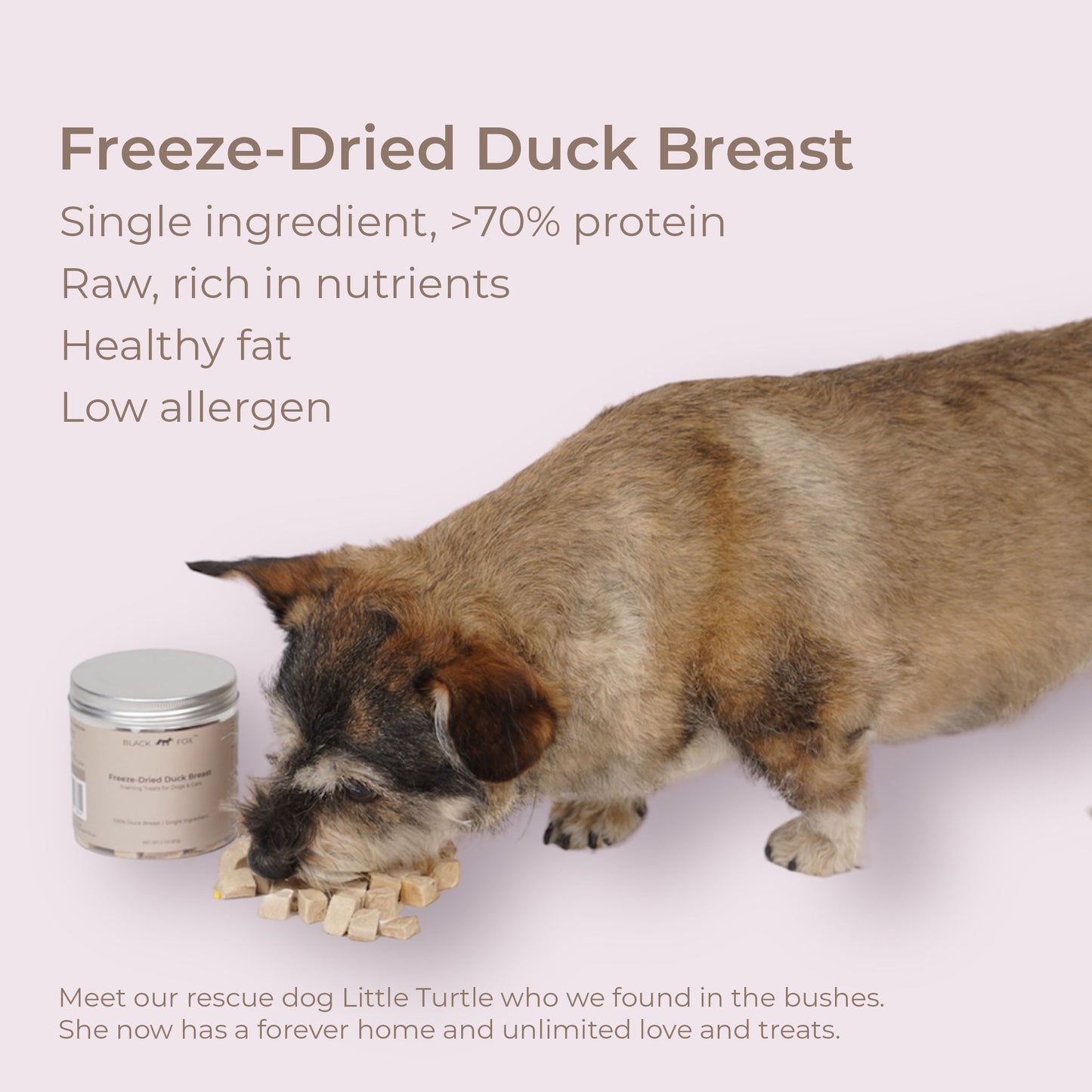 Freeze-Dried Duck Breast Training Treats Snacks for Dogs and Cats | 2oz
