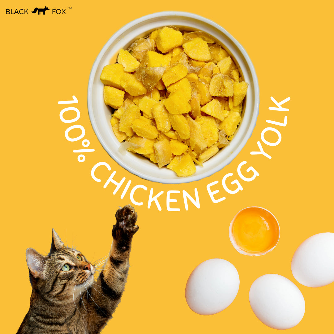 Freeze-Dried Egg Yolk Treats Snacks for Dogs & Cats