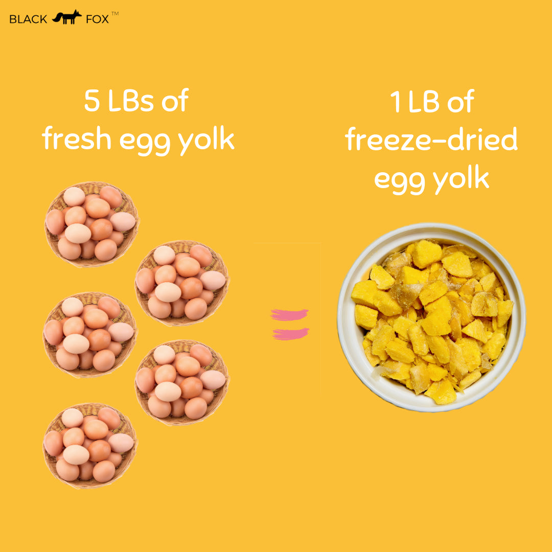 Freeze-Dried Egg Yolk Treats Snacks for Dogs & Cats
