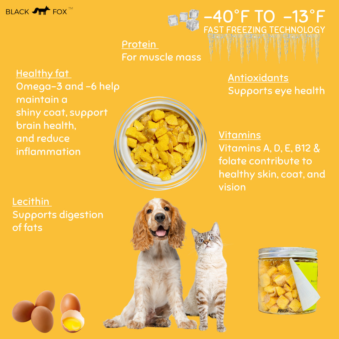 Freeze-Dried Egg Yolk Treats Snacks for Dogs & Cats