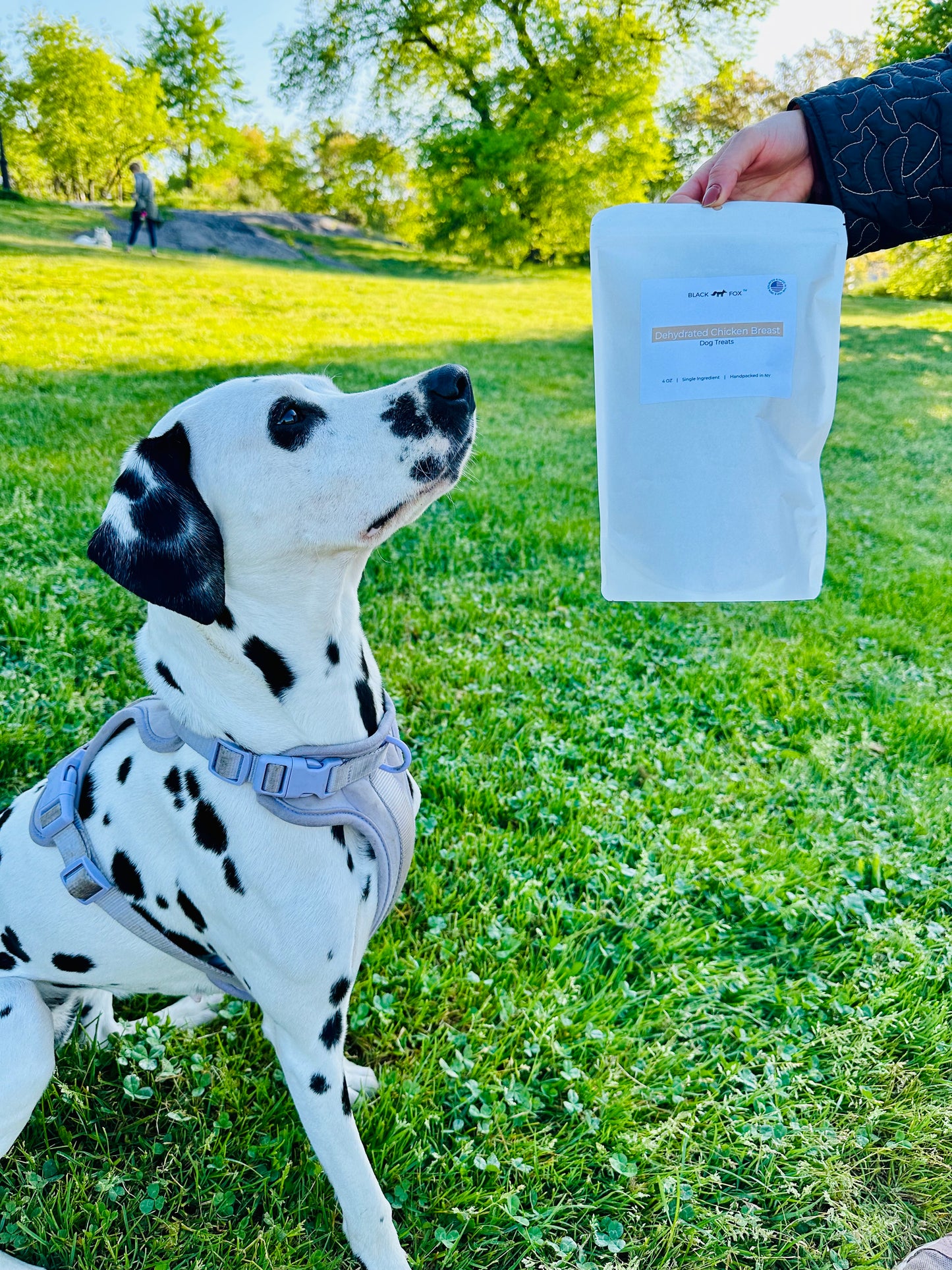 Dehydrated Chicken Breast | USDA Chicken | Single Ingredient Dog Treat Snack