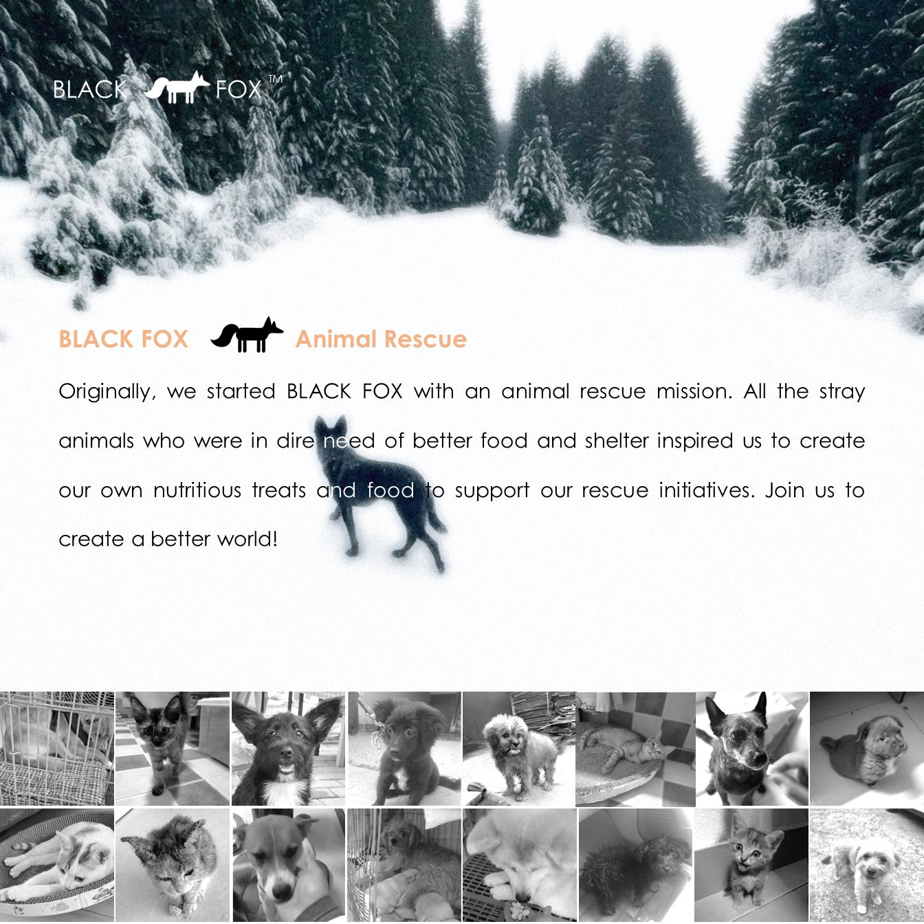 Freeze-Dried Salmon Training Treats Snacks for Dogs & Cats