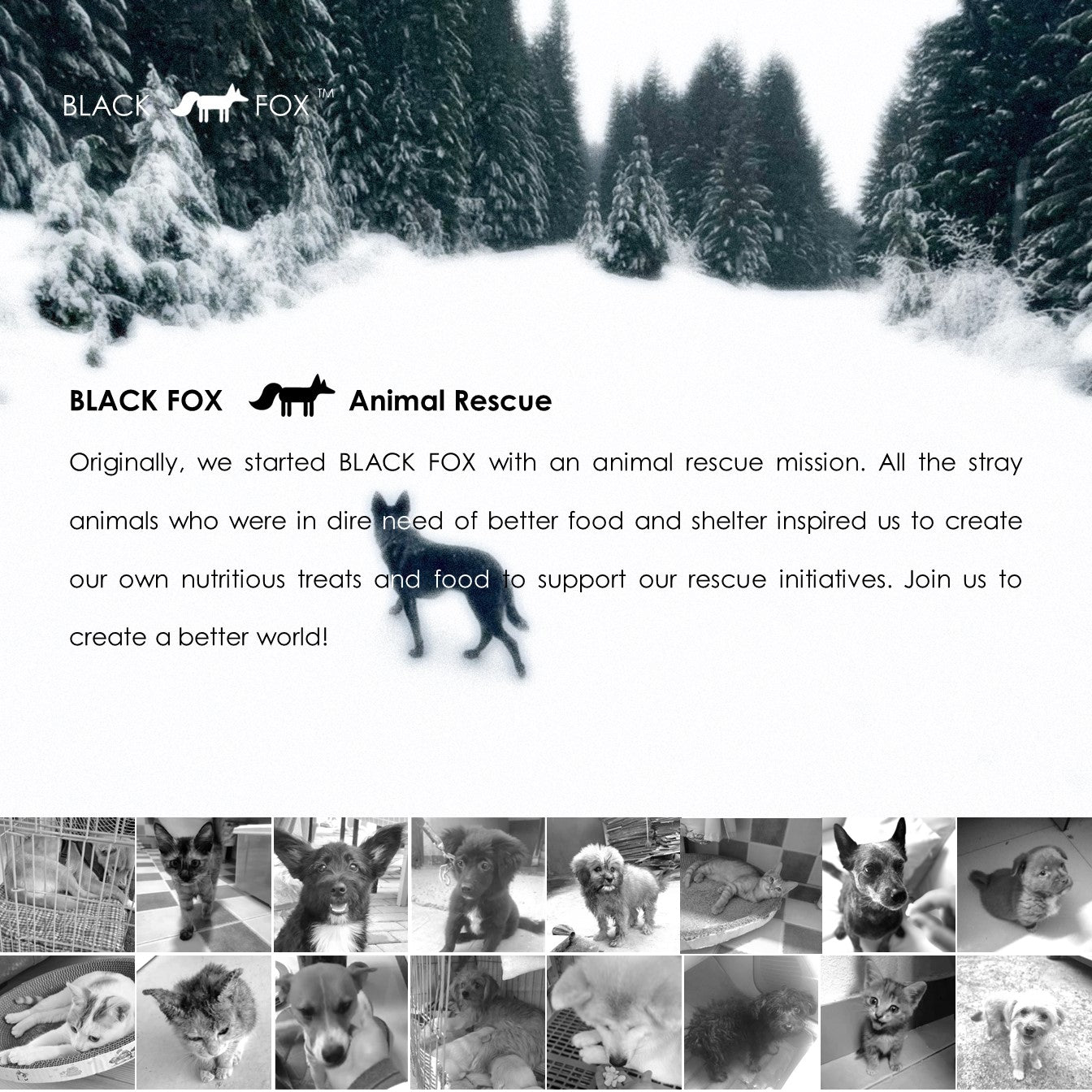 Freeze-Dried Gluten-Free Holiday Cookies for Dogs and Cats | Chicken & Salmon