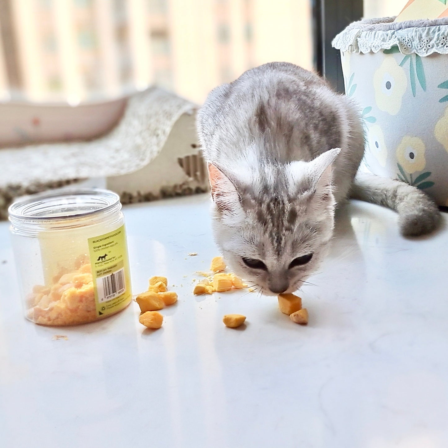 Freeze-Dried Egg Yolk Treats Snacks for Dogs & Cats