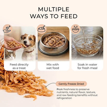 Freeze-Dried Antarctic Krill Treats Snacks for Dogs and Cats | 1.5 oz