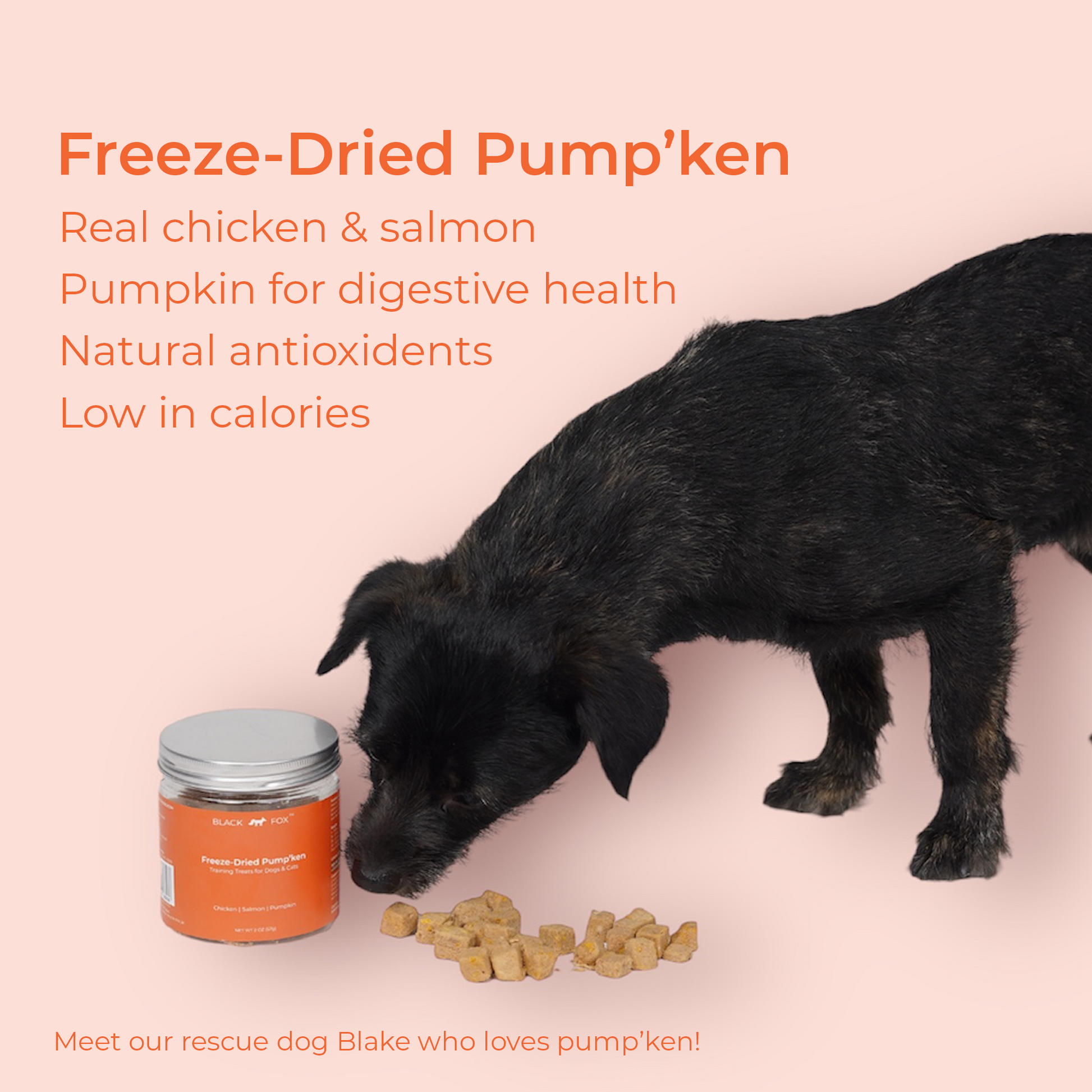 Freeze-Dried Pump'ken Dog Cat Treat Snack | 2oz Chicken Salmon Freeze-Dried Pump'ken Dog Cat Treat Snack | 2oz Chicken Salmon